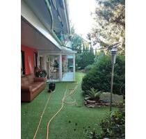 Haus EFH+ELW*180 qm+Winterg., Siegen-K.M., amWald, ruhig, sonnig