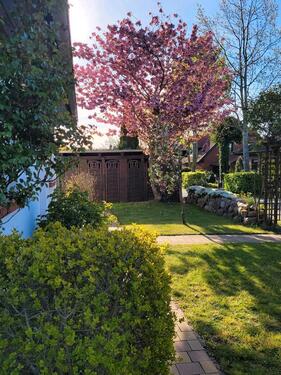 Foto - sonniges Einfamilienhaus auf dem Lande, Stralsund nahe