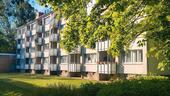 Foto - 3 Zimmer Wohnung zu vermieten - 620,00&nbsp;EUR Kaltmiete, ca.&nbsp; 64,00&nbsp;m&sup2;