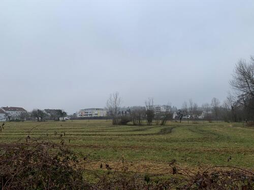 Foto - 1 Zimmer Etagenwohnung in Immenstaad am Bodensee