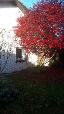 Foto - Bungalow zum Kaufen in Aachen