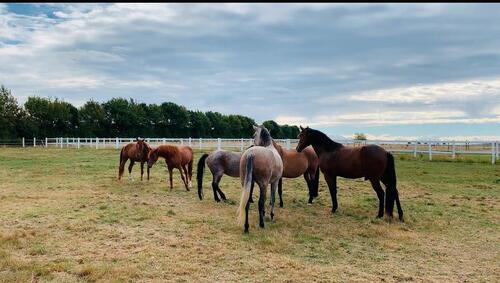 Foto - andere in Schönborn