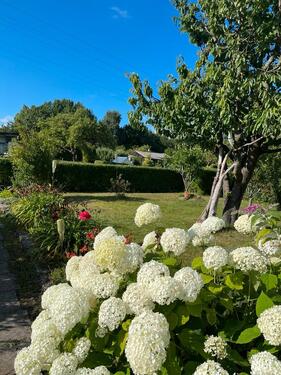 Foto - Garten auf der Insel Rügen - Beteiligung super günstig