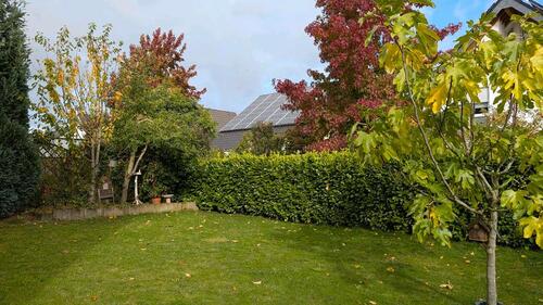 Foto - 7 Zimmer Einfamilienhaus in Rommerskirchen