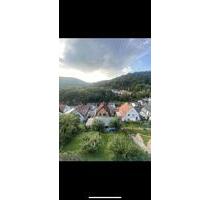 2 Zimmer Wohnung in Heidelberg Ziegelhausen