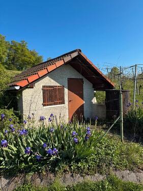 Foto - Weinberghütte - 600,00&nbsp;EUR Kaltmiete, ca.&nbsp; 0,00&nbsp;m&sup2;