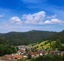 Großzügige 2-Zimmer-Wohnung mit FBH, Balkon und PKW-Stellplatz - Bad Peterstal-Griesbach