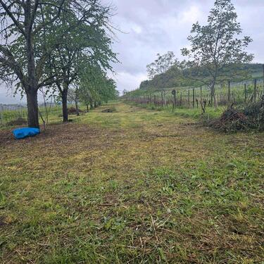 Foto - Gartengrundstück Freizeitgrundstück ZU VERMIETEN