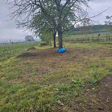 Foto - Grundst&uuml;ck zur Miete in Emmendingen