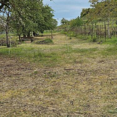 Foto - Grundst&uuml;ck in Emmendingen