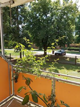 Foto - 2 Zimmer Erdgeschoßwohnung in Wusterhausen/Dosse