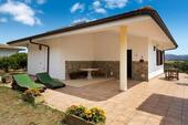 Foto - Sardinien freistehende Villa auf Olivenhain: bis 17. Juli frei