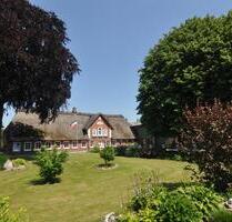 Bauernhaus unter Reet mit Außensalzwasserpool, Sauna und Garten - Husby