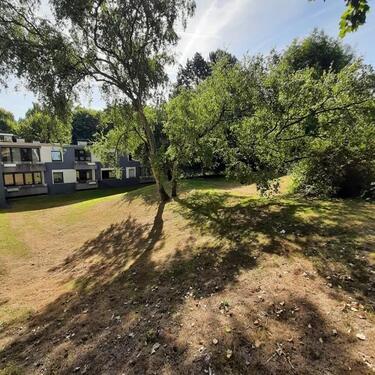 Foto - Etagenwohnung zur Miete in Dortmund