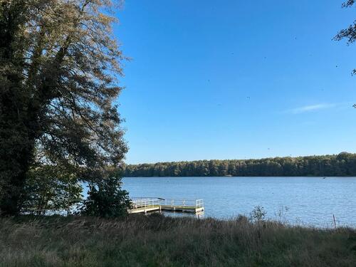 Foto - Einfamilienhaus zum Kaufen in Kloster Lehnin