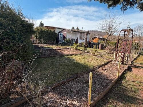 Foto - Grundst&uuml;ck zur Miete in Sondershausen