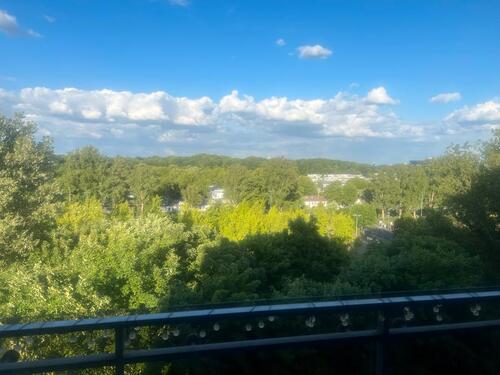 Foto - 4 Zimmer Einfamilienhaus zum Kaufen in Schalkenbach