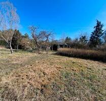 Pachtgarten mit Gartenlaube günstig abzugeben - Weida