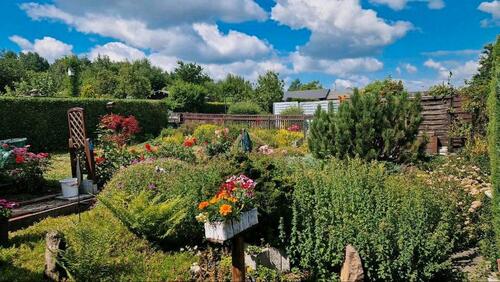 Foto - Grundst&uuml;ck in Chemnitz zur Miete