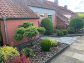 Foto - Einfamilienhaus zum Kaufen in Hameln