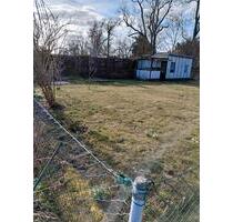 Pachtgarten ohne Ablöse sofort abzugeben - Neustadt an der Orla