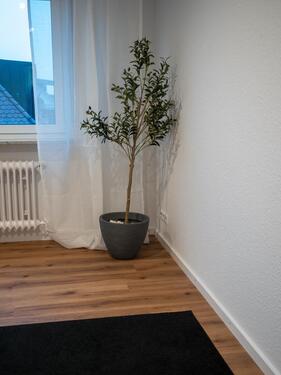 Foto - andere in Friedrichshafen