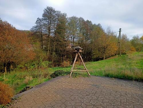 Foto - 5 Zimmer Einfamilienhaus zum Kaufen in Steinwenden