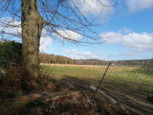 Foto - Bungalow in Schwanewede zum Kaufen