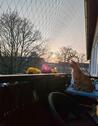 Foto - Nachmieter für 4 Zimmer Wohnung mit Balkon