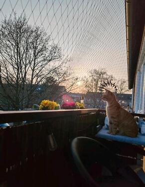 Foto - Nachmieter für 4 Zimmer Wohnung mit Balkon