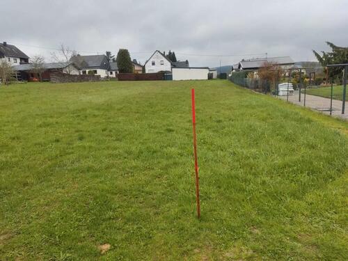 Foto - Bestpreisgarantie bei Bien-Zenker - Großzügiges Baugrundstück in Beuren (Hochwald)