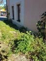Foto - Etagenwohnung in Schopfheim