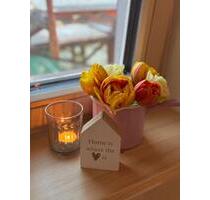 Großes helles Zimmer, möbliert, Balkon, Garten in Bestlage - Freiburg im Breisgau Günterstal