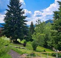 Liebevoll neu renoviertes Appartement im SchwarzwaldBaiersbronn