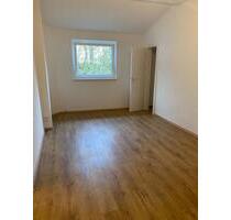 1 Raum Wohnung, DB, 30 qm, Gartennutzung, Ölberg. Ekkehardstr - Wuppertal Elberfeld