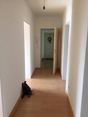 Foto - Schöne 3 Zimmer - Dachgeschoß Wohnung - Niederdollendorf