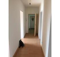 Schöne 3 Zimmer - Dachgeschoß Wohnung - Niederdollendorf - Königswinter