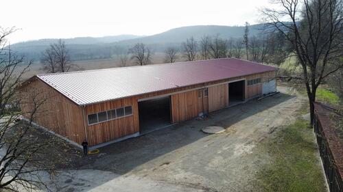 Foto - andere in Springe