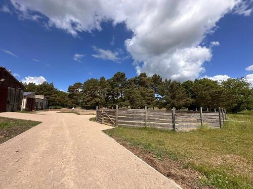 Foto - andere in Rostock zur Miete