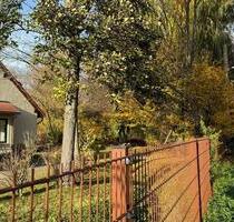 Einfamilienhaus in idyllischer Lage am Auenwald - Leipzig Altwest