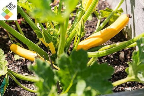 Foto - Erdgeschoßwohnung in München zur Miete