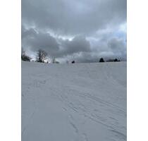 Ferienwohnung App Hohegeiß Urlaub Braunlage