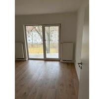 Neugründung 3 er WG in Oberricklingen - Hannover