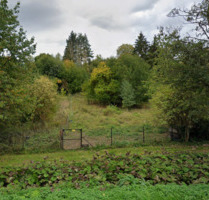 Wieder verfügbar: 706 m² Naturgrundstück in Hehlen am Bach - Bodenwerder