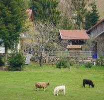 Urlaub auf dem Simmerlhof - 4*Ferienwohnung* 05.04-12.04.26 2E+2K - Traitsching