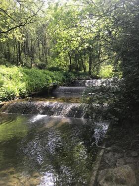 Foto - andere in Winterberg zur Miete