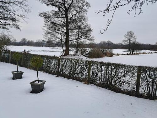 Foto - Einfamilienhaus zum Kaufen in Sottrum