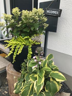 Foto - andere zur Miete in Wildflecken