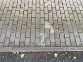 Foto - andere zur Miete in Nordhausen