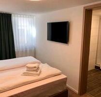 1 Zimmer Apartment ab April 2026 befristet zu vermieten - Metzingen